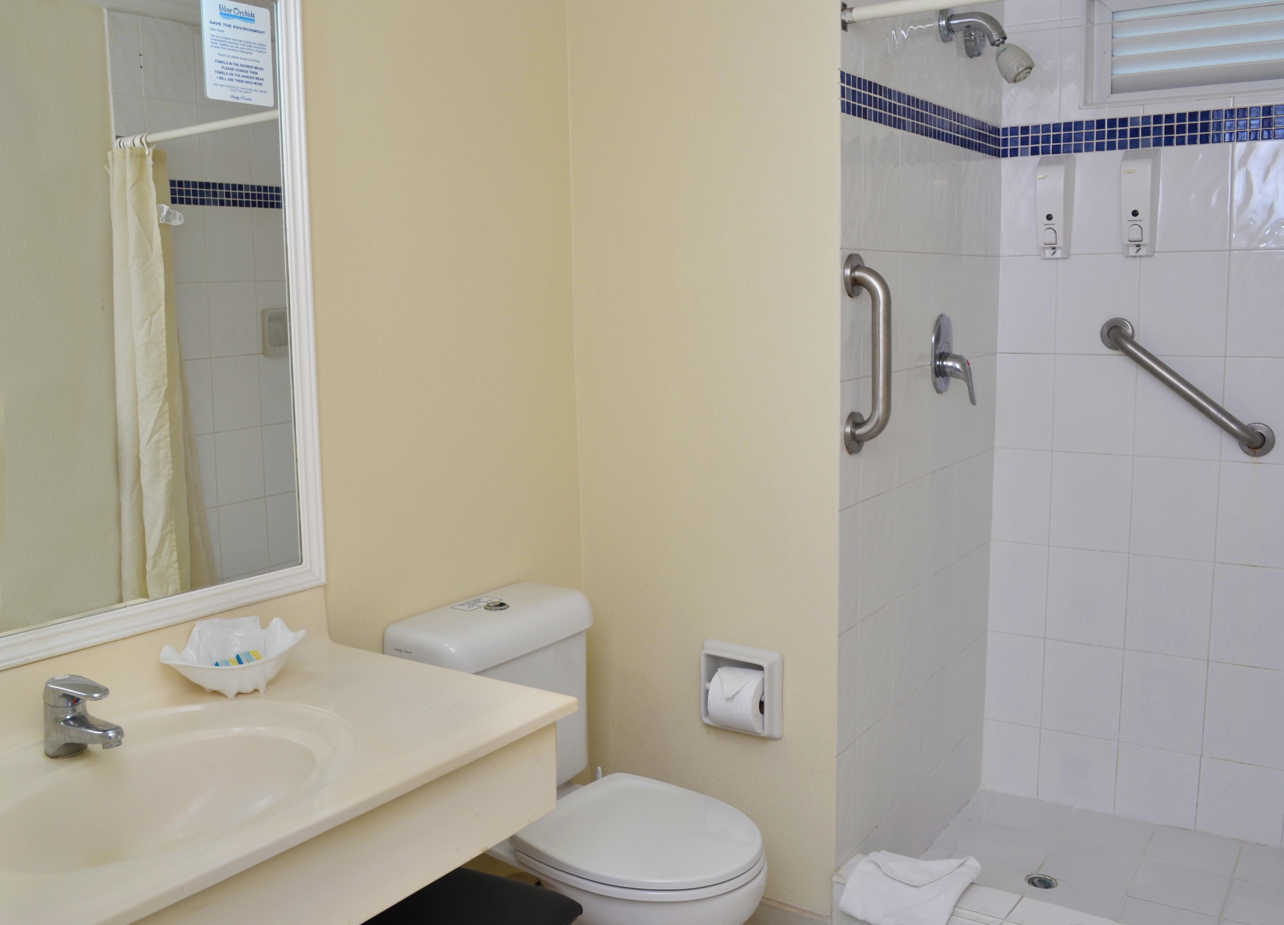 Hotel Blue Orchids 3*