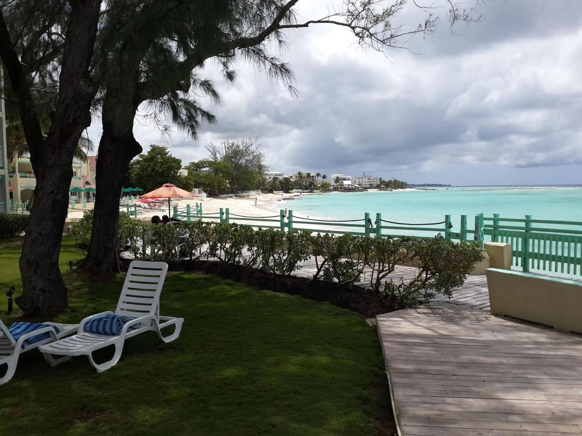 Hotel Blue Orchids