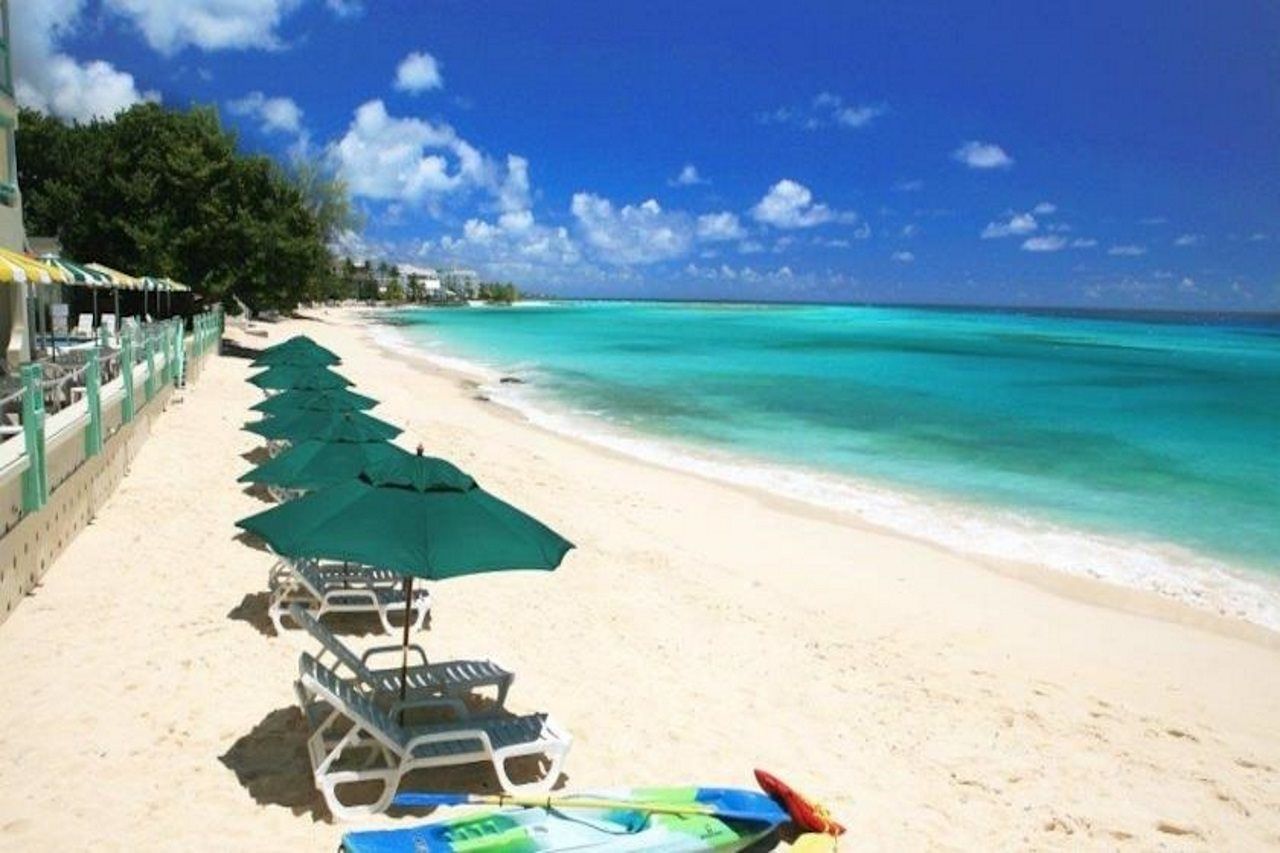 Blue Orchids 3* Bridgetown