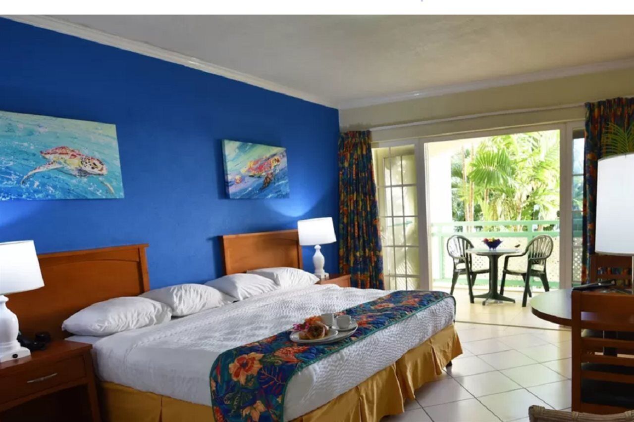 Blue Orchids 3*